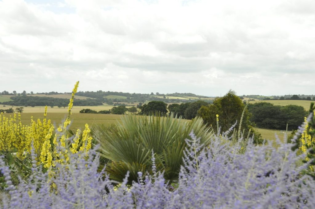 East Anglia