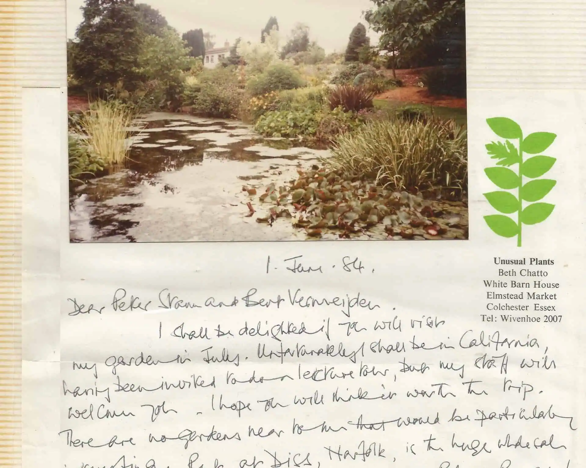 Brief von Beth Chatto, 1984