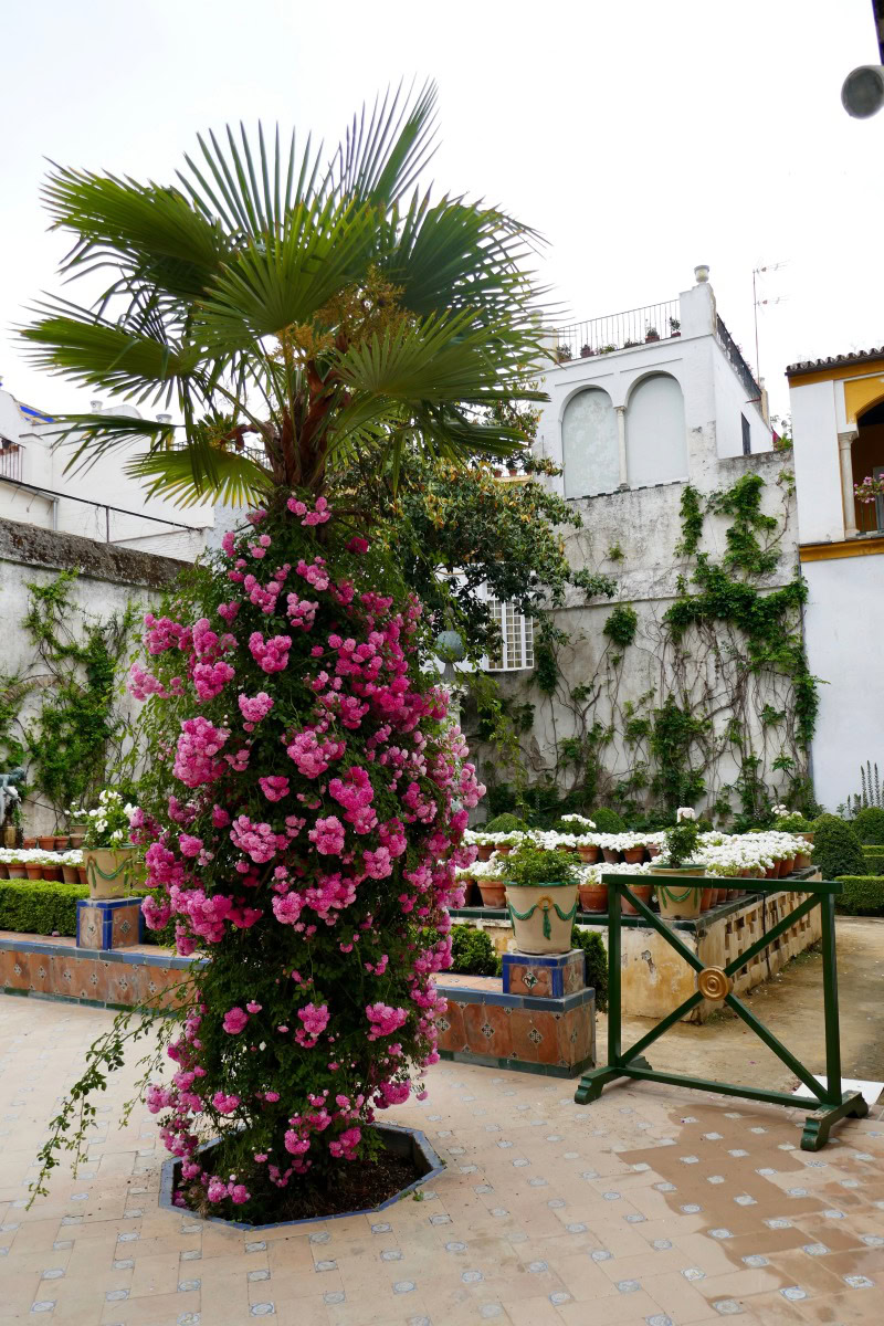 Casa de Pilatos