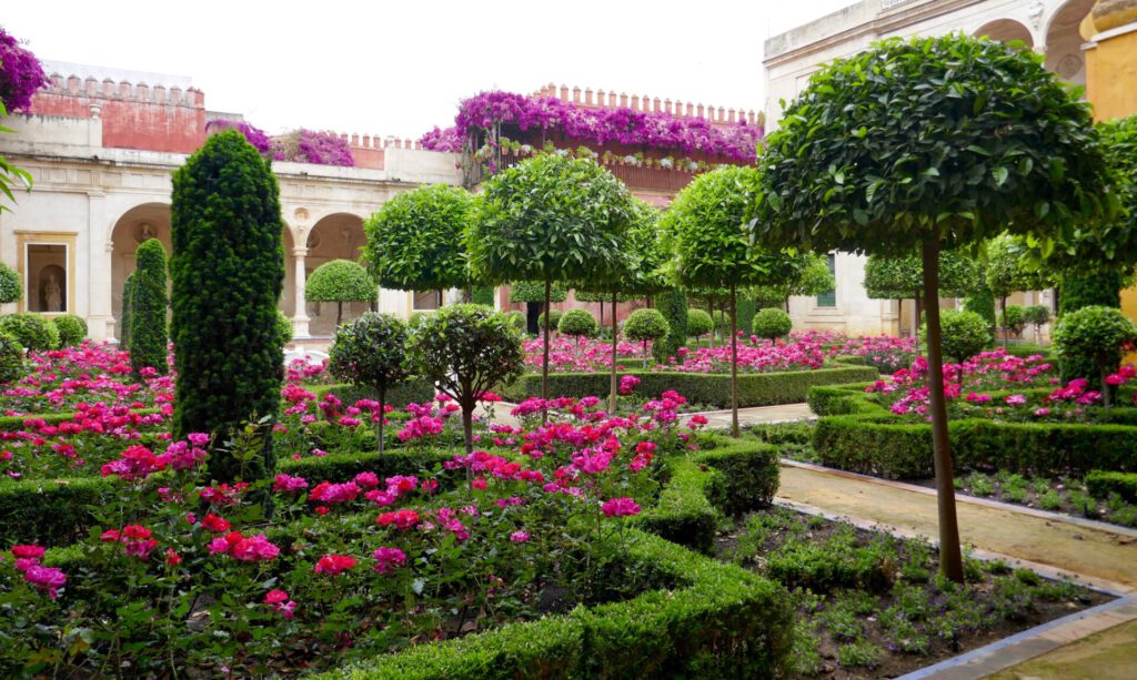 Ein formaler Garten mit ordentlich geschnittenen Hecken, leuchtend rosa Blumen, gepflegten Bäumen und Steinwegen, umgeben von historischen Steingebäuden mit lila Bougainvillea-Ranken an den Wänden.
