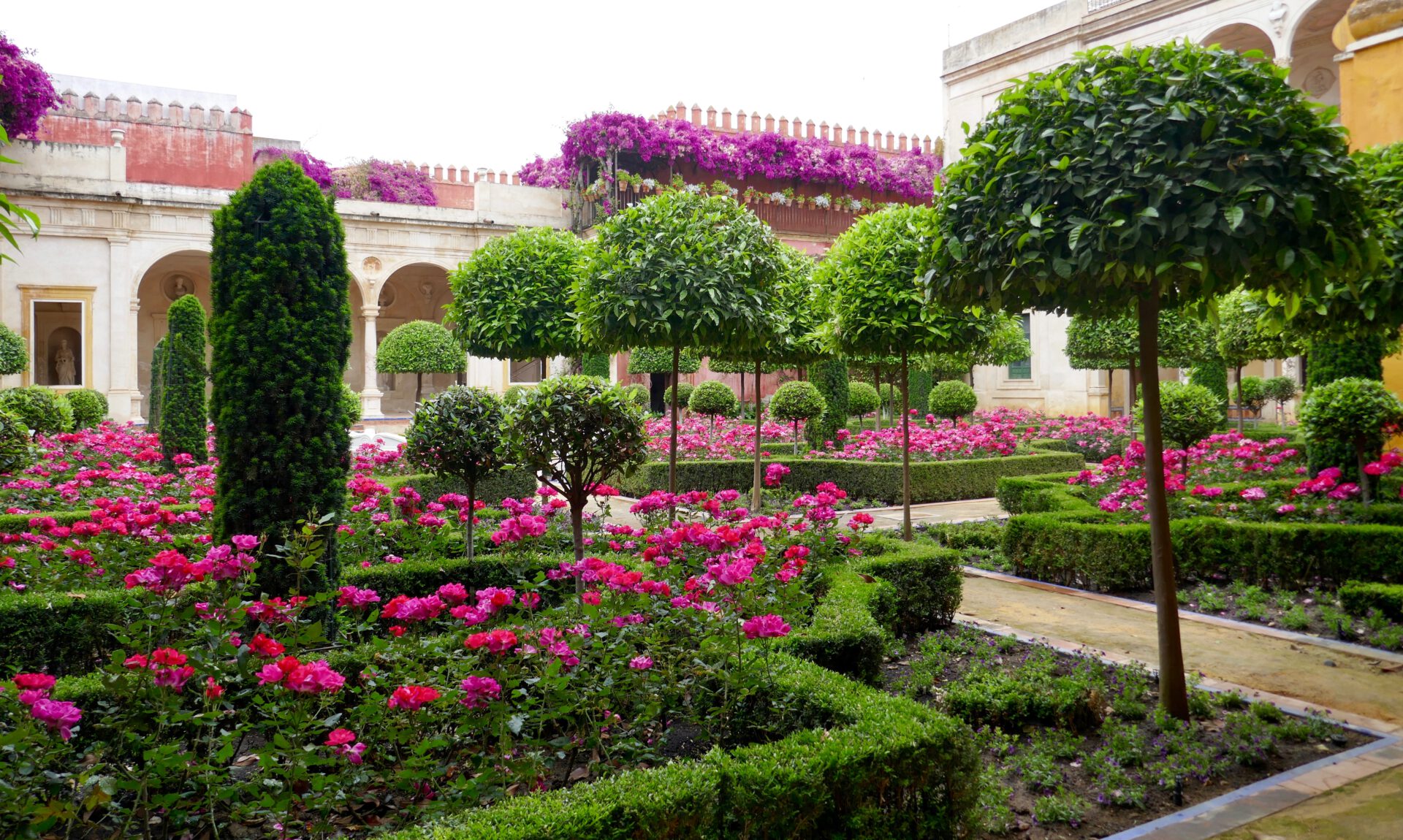Ein formaler Garten mit ordentlich geschnittenen Hecken, leuchtend rosa Blumen, gepflegten Bäumen und Steinwegen, umgeben von historischen Steingebäuden mit lila Bougainvillea-Ranken an den Wänden.