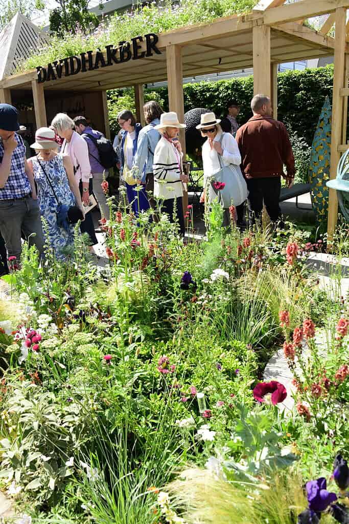 Eine Gruppe von Menschen bewundert an einem sonnigen Tag auf der Chelsea Flower Show einen lebendigen Garten mit hohen Blumen und Grünpflanzen vor einer hölzernen Pergola mit der Aufschrift "DAVID HARBER".