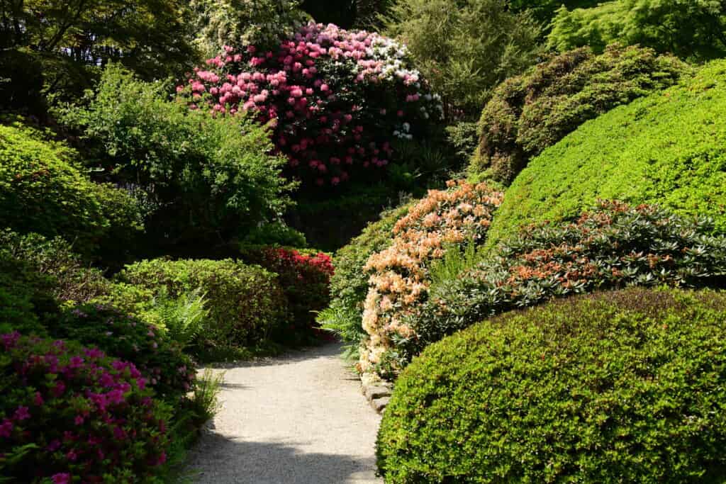 Ein gewundener Kiesweg führt durch einen üppigen, von der Chelsea Flower Show inspirierten Garten mit grünen Sträuchern, blühenden Büschen in Rosa, Lila und Weiß und dichtem, lebhaftem Laub im hellen Sonnenlicht.