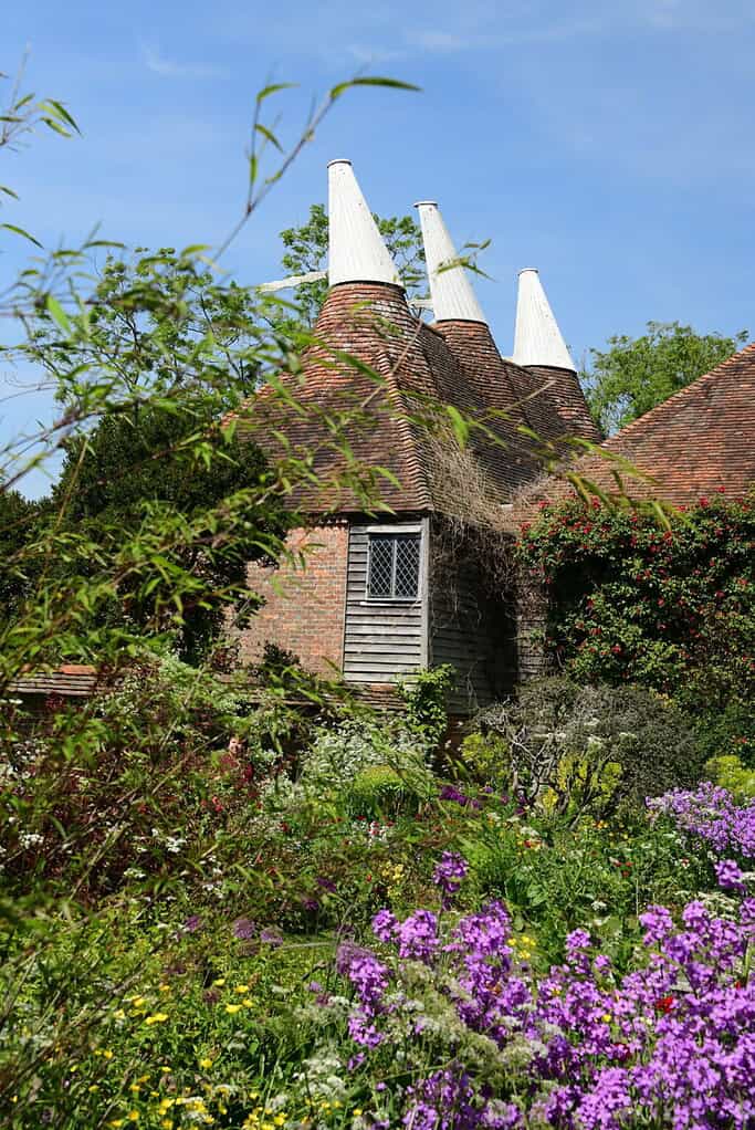 Ein traditionelles Backstein-Osthaus mit drei weißen Kegeldächern ist von üppigem Grün und leuchtend violetten Blumen umgeben und erinnert an die Chelsea Flower Show unter einem strahlend blauen Himmel.