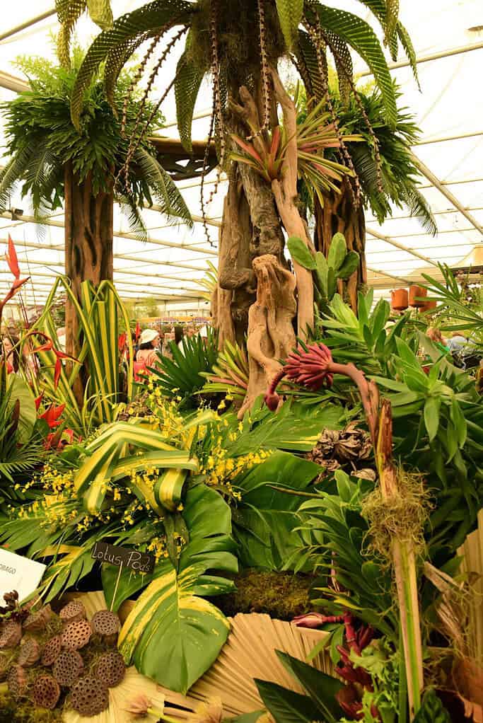 Ein üppiger Indoor-Garten, inspiriert von der Chelsea Flower Show, mit verschiedenen tropischen Pflanzen, Farnen und großen Blättern, mit dekorativem Treibholz und lebhaftem Grün unter einer Glasdecke in einem Gewächshaus.