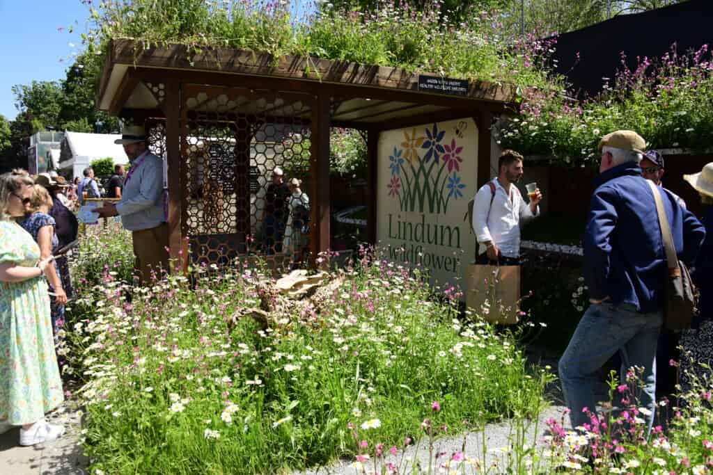 Auf der Chelsea Flower Show versammeln sich Menschen um eine Gartenausstellung mit Wildblumen und einer hölzernen Pergola mit dem Schild "Lindum Wildflower". Hohe Gräser und rosa Blumen umgeben die Struktur an einem sonnigen Tag.