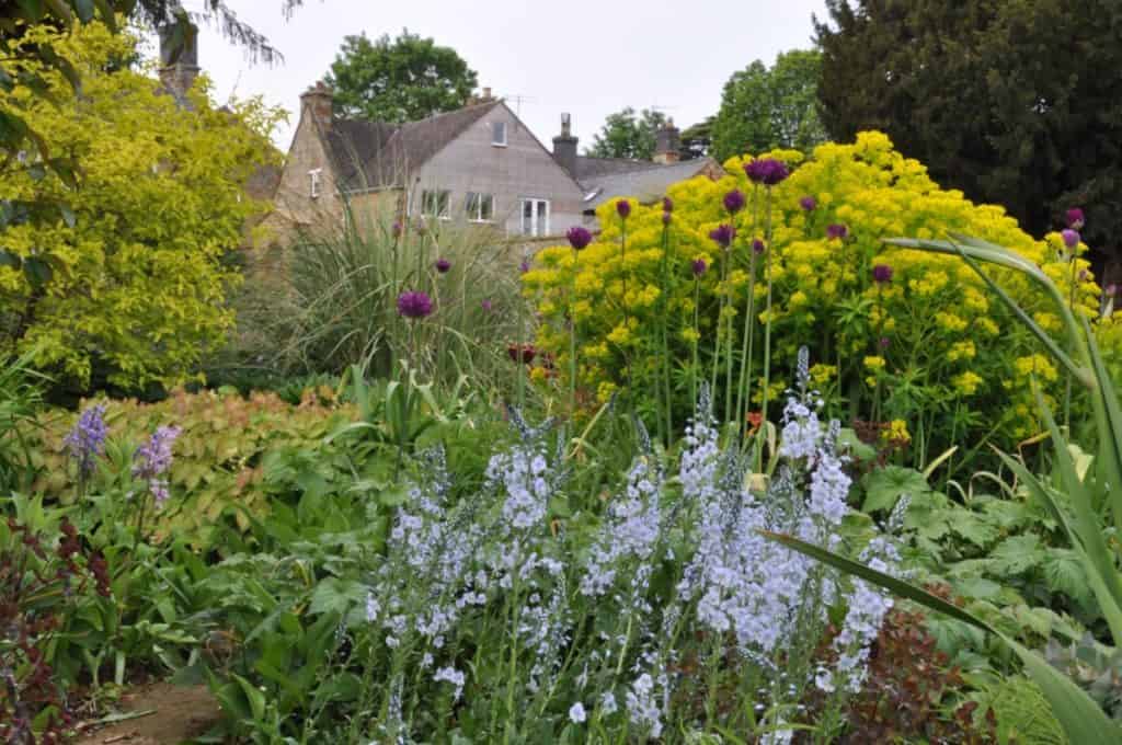 Ein üppiger Garten mit grünem Laub, blühenden blauen, violetten und gelben Blumen, mit einem Steinhaus und Bäumen im Hintergrund unter einem bewölkten Himmel.