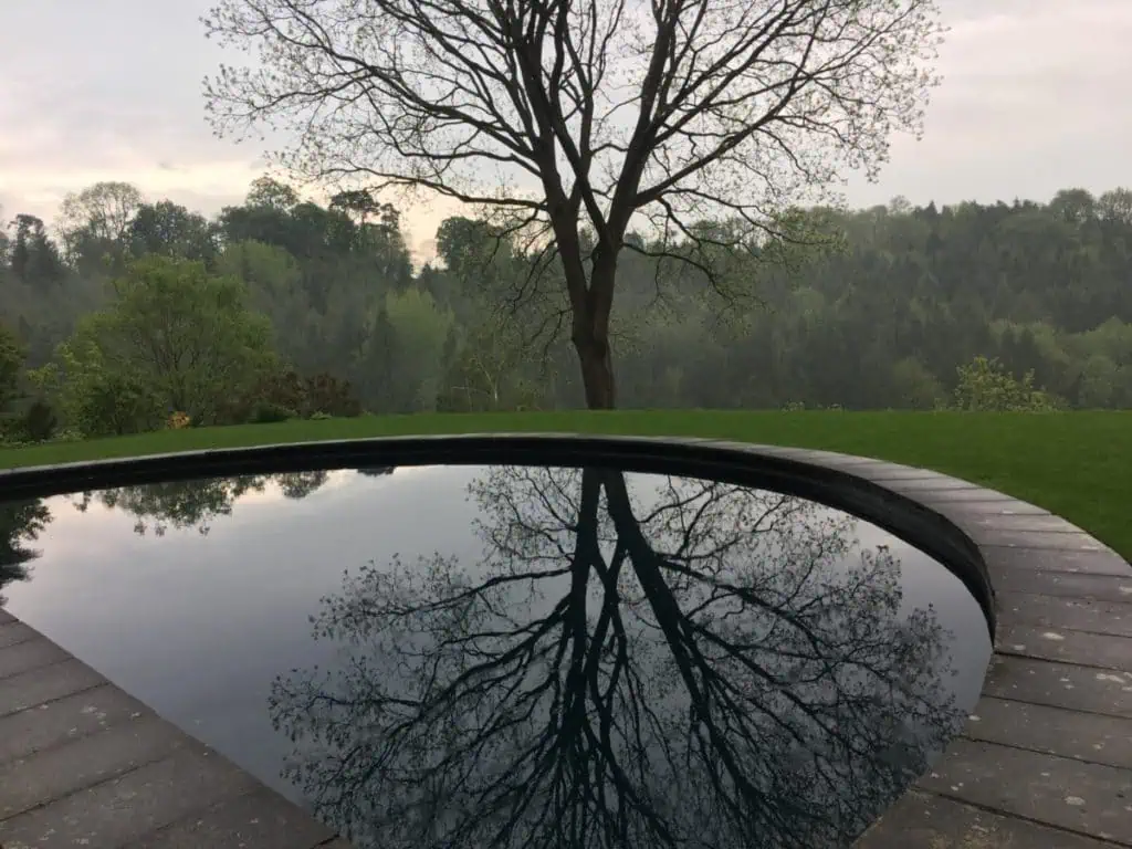 Ein blattloser Baum steht auf einem grasbewachsenen Rasen, seine Äste und seine Silhouette spiegeln sich deutlich in der stillen, geschwungenen Oberfläche eines nahe gelegenen Teichs, mit einem bewaldeten Gebiet und einem bewölkten Himmel im Hintergrund.