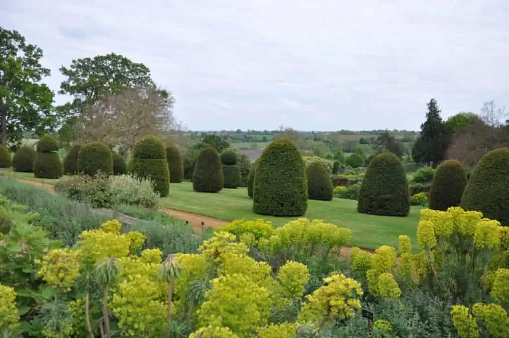 Ein Landschaftsgarten mit ordentlich gestutzten, ovalen Büschen auf einem Rasen, umgeben von üppigen grünen Pflanzen und gelben Blumen, mit Bäumen und Feldern im Hintergrund unter einem bewölkten Himmel.