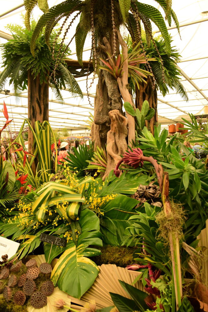 Tuinreis Chelsea Flower Show