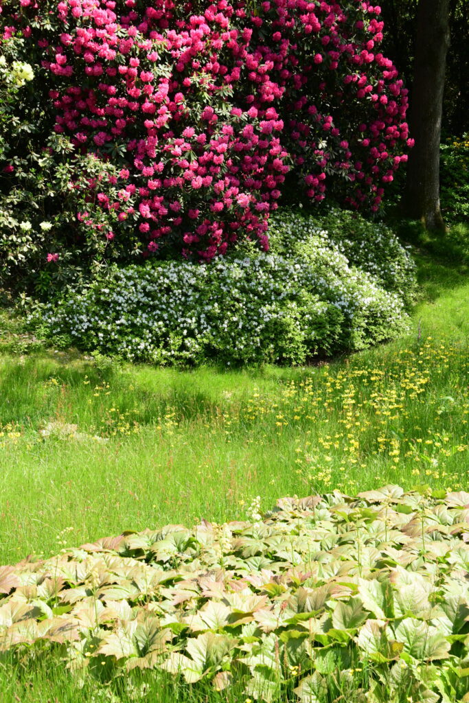 Tuinreis Chelsea Flower Show