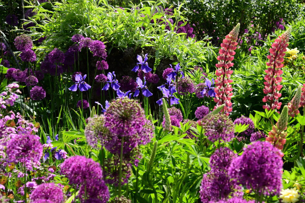 Tuinreis Chelsea Flower Show
