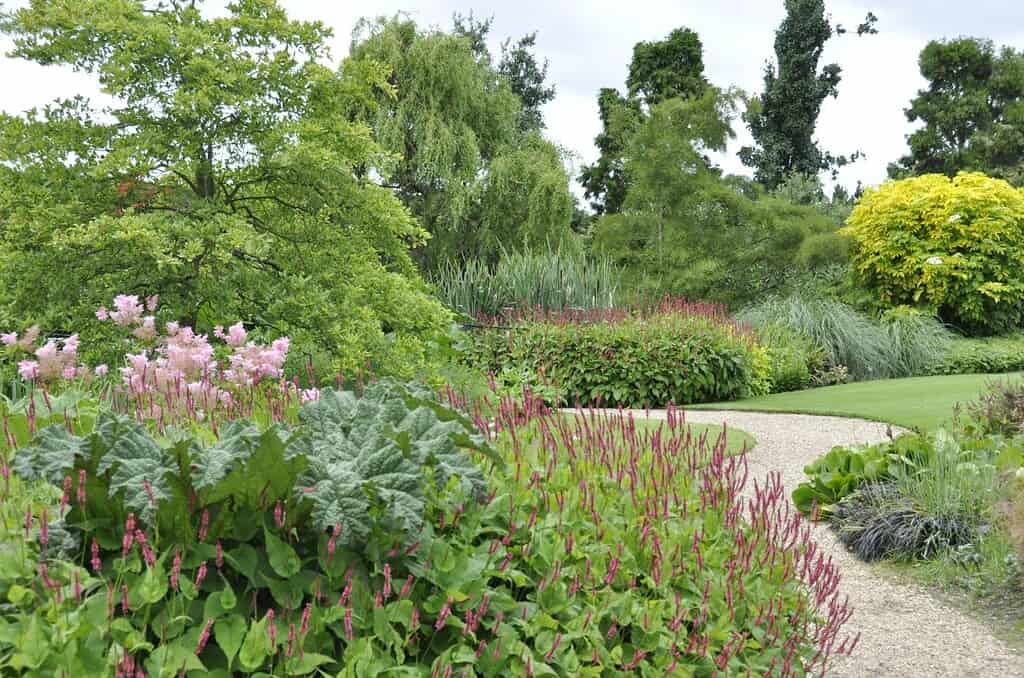 Ein geschwungener Kiesweg schlängelt sich durch einen üppigen Garten mit grünen Sträuchern, hohen Gräsern und farbenfrohen Blumen, darunter rosa und violette Blüten, mit verschiedenen Bäumen im Hintergrund unter einem bewölkten Himmel.