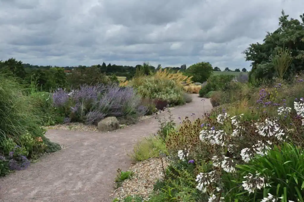 Ein gewundener Kiesweg schlängelt sich durch einen üppigen Garten mit vielen grünen Pflanzen, violetten Blumen und hohen Gräsern unter einem bewölkten Himmel.