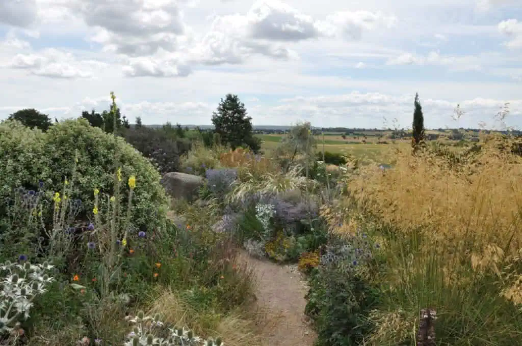 Ein schmaler Feldweg schlängelt sich durch einen üppigen Wildblumengarten mit hohen Gräsern und verschiedenen Pflanzen und führt zu einer offenen Landschaft unter einem teilweise bewölkten Himmel.