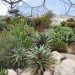 Eden Project