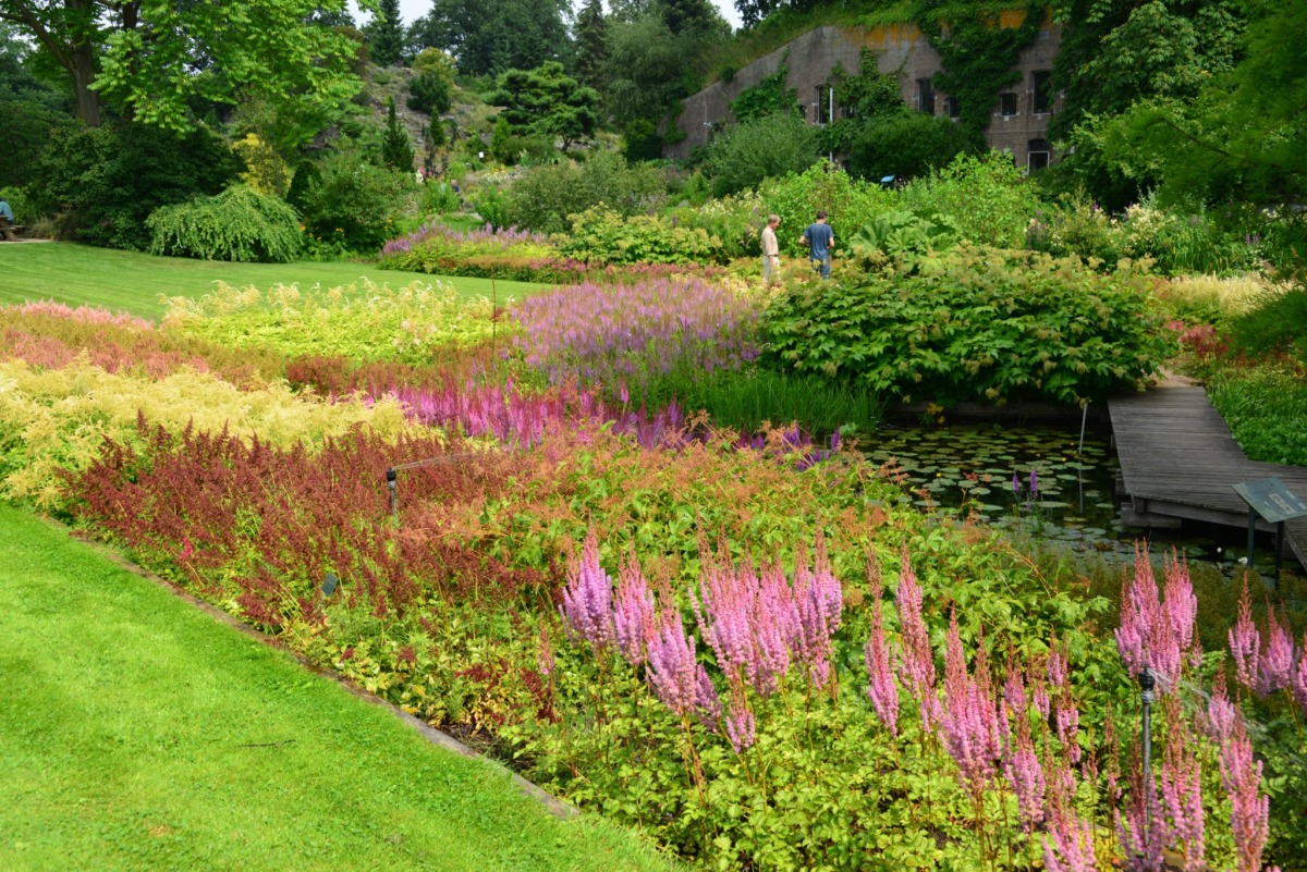Ein üppiger Garten mit leuchtenden Blumenbeeten mit rosa, lila und gelben Blüten neben einem kleinen Teich und einem Holzsteg, mit Bäumen und zwei Menschen im Hintergrund.