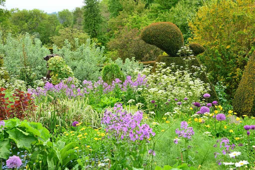 Great Dixter