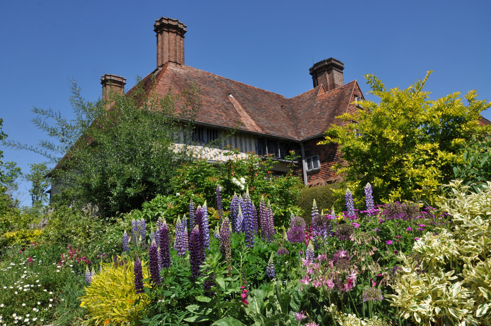 Ein traditionelles englisches Cottage mit rotem Ziegeldach und hohen Schornsteinen ist umgeben von üppigen, farbenfrohen Blumengärten und grünen Hecken unter einem strahlend blauen Himmel.