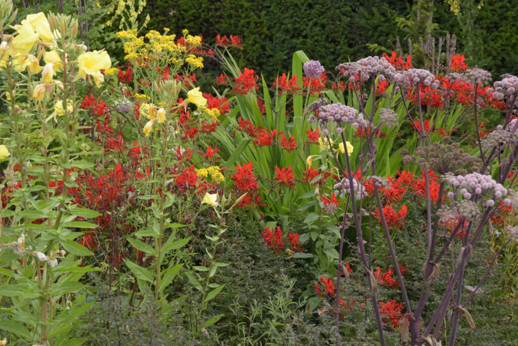 Great Dixter