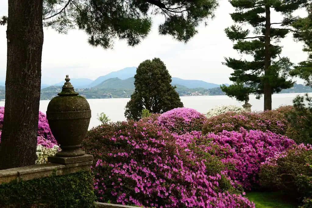Isola Bella