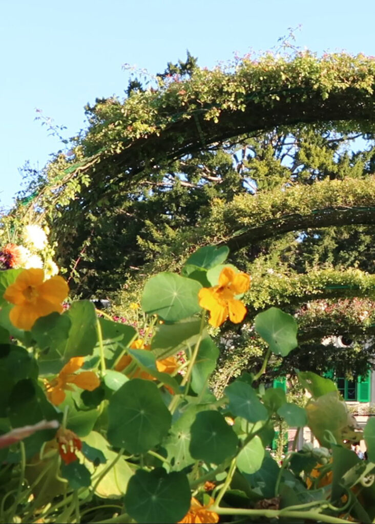 Jardin Monet