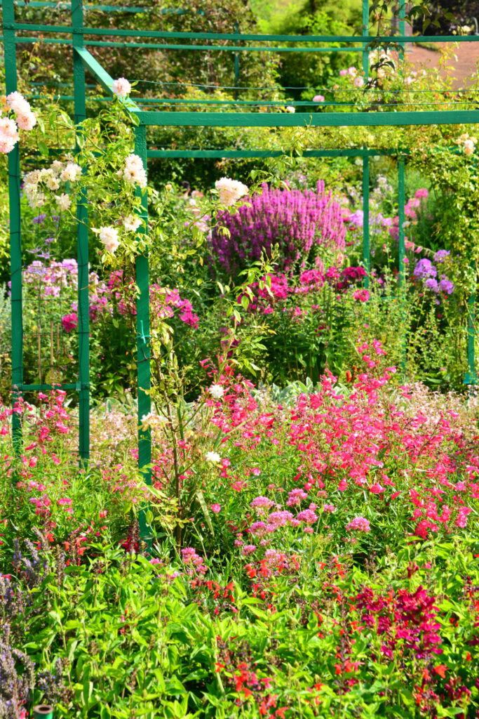 Jardin Monet