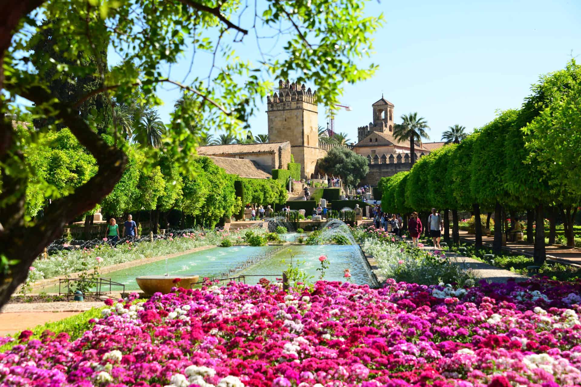 Ein farbenfroher Garten mit rosafarbenen und weißen Blumen, einem langen rechteckigen Springbrunnen, beschnittenen Bäumen und historischen Steingebäuden mit Türmen im Hintergrund unter einem klaren blauen Himmel.