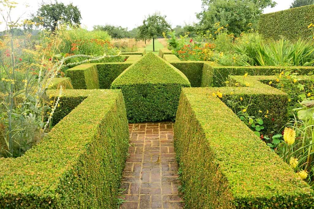 Le Jardin Plume