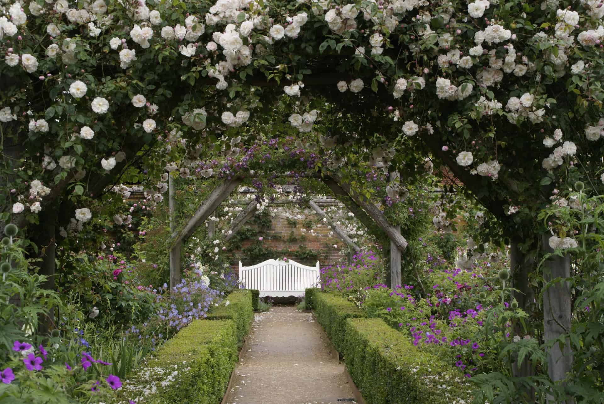 Eine weiße Bank steht am Ende eines Gartenweges, eingerahmt von Holzbögen, die mit blühenden weißen und rosafarbenen Blumen bedeckt sind, mit üppigem Grün und lila Blumen entlang des Weges.