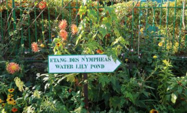 Ein weißes Pfeilschild mit der Aufschrift "Etang des Nympheas Water Lily Pond" (Seerosenteich) steht zwischen üppigen grünen Pflanzen, bunten Blumen und einem grünen Metallzaun im Hintergrund.