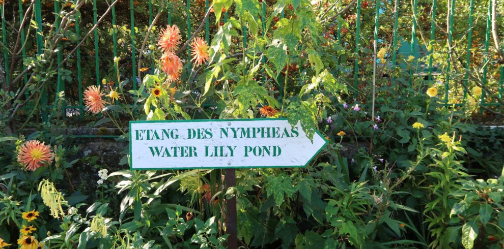 Ein weißes Pfeilschild mit der Aufschrift "Etang des Nympheas Water Lily Pond" (Seerosenteich) steht zwischen üppigen grünen Pflanzen, bunten Blumen und einem grünen Metallzaun im Hintergrund.