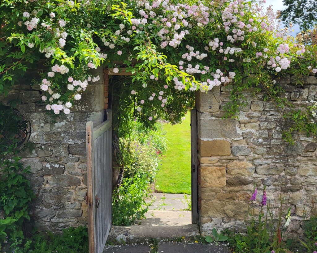Northumberland (7)