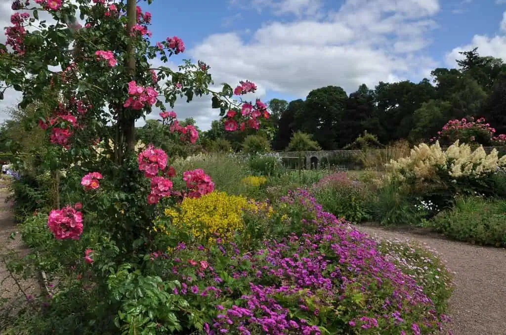 Ein farbenfroher ostschottischer Garten mit blühenden rosa, violetten und gelben Blumen, grünen Sträuchern und einem Kiesweg unter einem teilweise bewölkten Himmel. Im Hintergrund sind Bäume und ein steinerner Torbogen zu sehen.