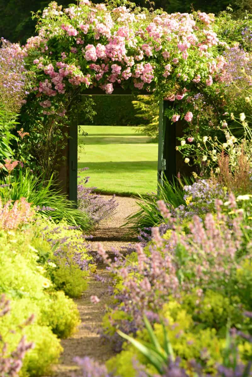 Ein Gartenweg, der an Ost-Schottland erinnert und mit üppigen grünen und violetten Pflanzen gesäumt ist, führt zu einem hölzernen Tor, das mit blühenden rosa Blumen bedeckt ist und auf einen gepflegten Rasen führt.