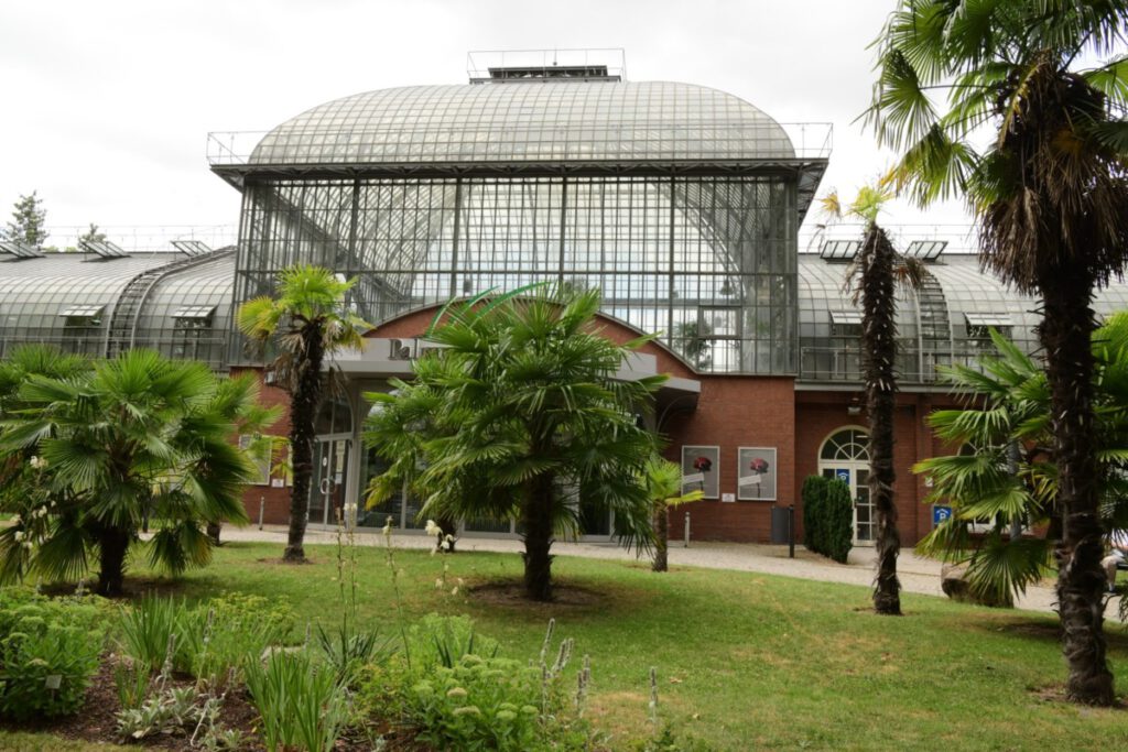 Palmengarten