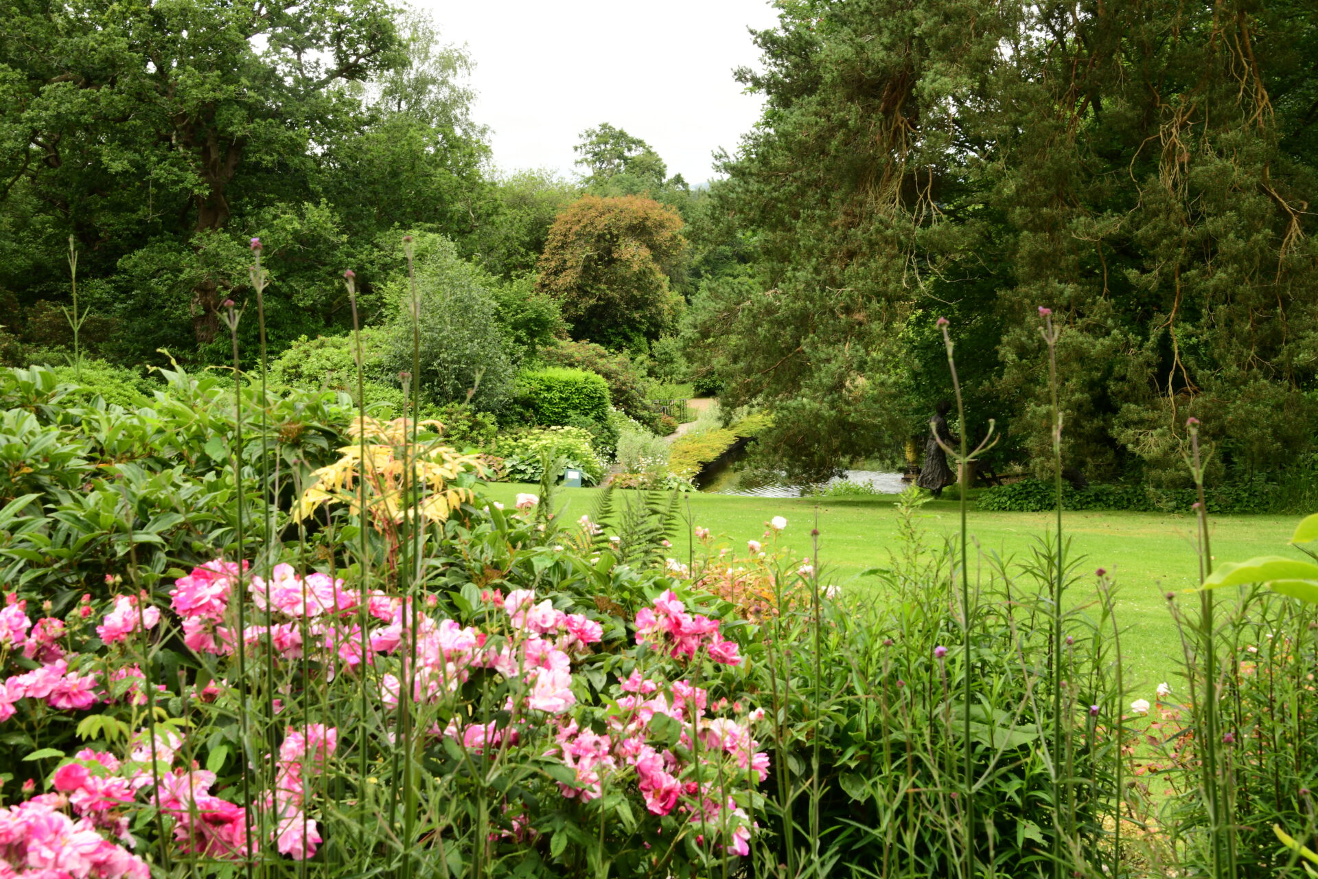 Ein üppiger Garten mit blühenden rosa Blumen im Vordergrund, hohen grünen Sträuchern, Bäumen und einem kleinen Teich im Hintergrund unter einem bewölkten Himmel.