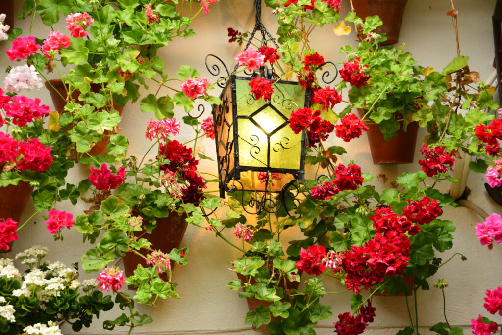 Patios in Córdoba