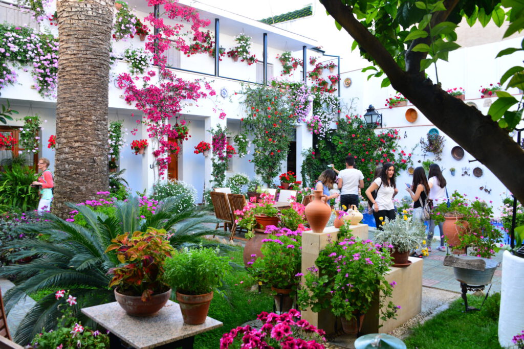 Patios in Córdoba