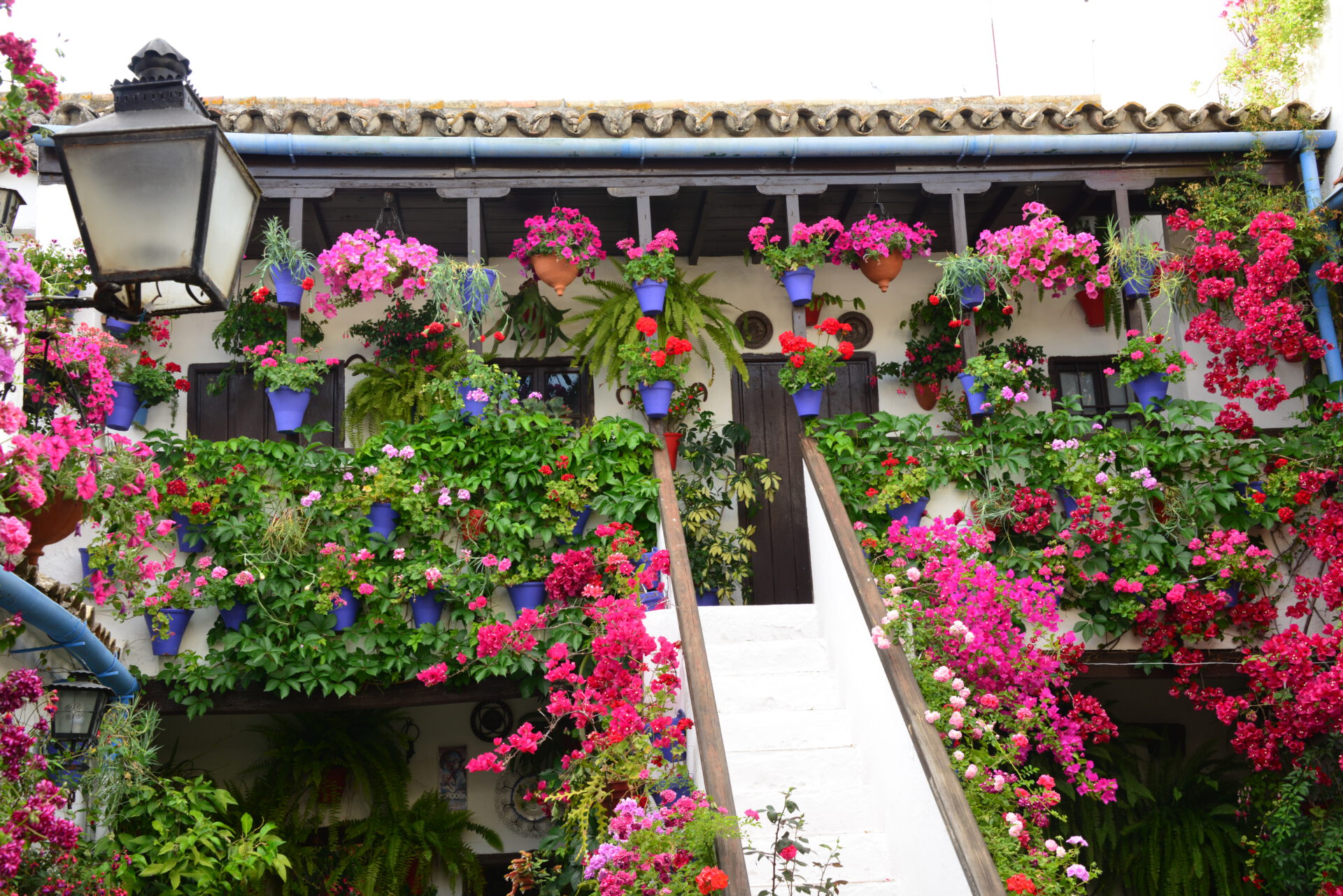 Eine weiße Treppe führt zu einem Balkon eines traditionellen spanischen Hauses, dessen Wände mit bunten Topfblumen und üppigen grünen Pflanzen bedeckt sind, die ein farbenfrohes, blühendes Bild ergeben.