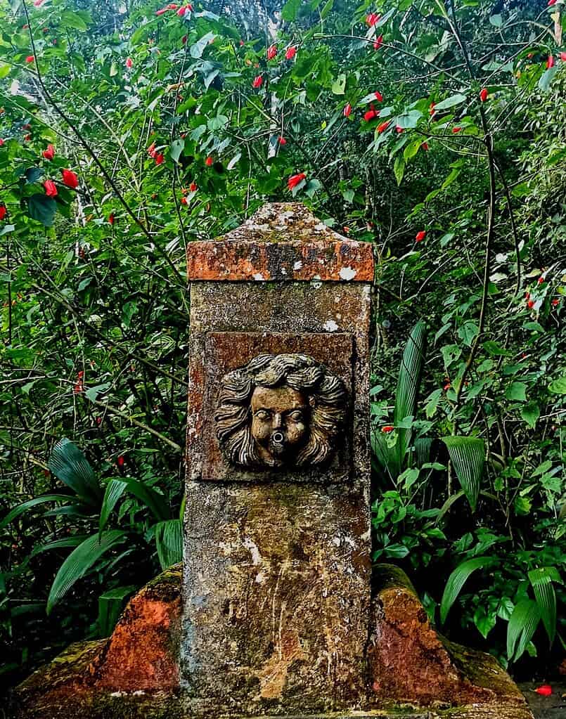 Ein verwitterter Steinbrunnen mit geschnitztem Gesicht steht inmitten von üppigem Grün, umgeben von hohen Pflanzen und roten Blumen in einem dichten, überwucherten Garten, der an die lebendigen Landschaften von Rio de Janeiro erinnert.