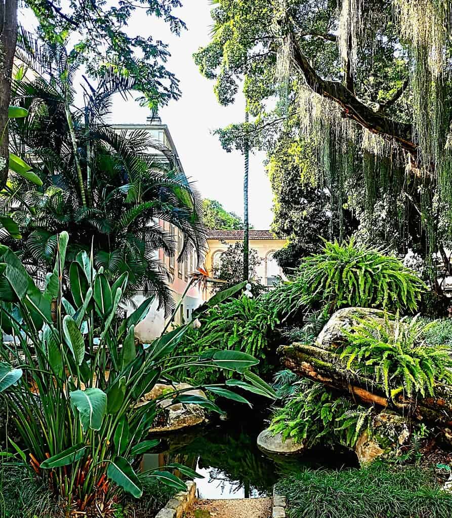 Üppiger tropischer Garten in Rio de Janeiro, mit Palmen, Farnen und Blattpflanzen, die einen kleinen Teich und Felsen umgeben, ein Gebäude ist im Hintergrund unter einem hellen Himmel teilweise sichtbar.