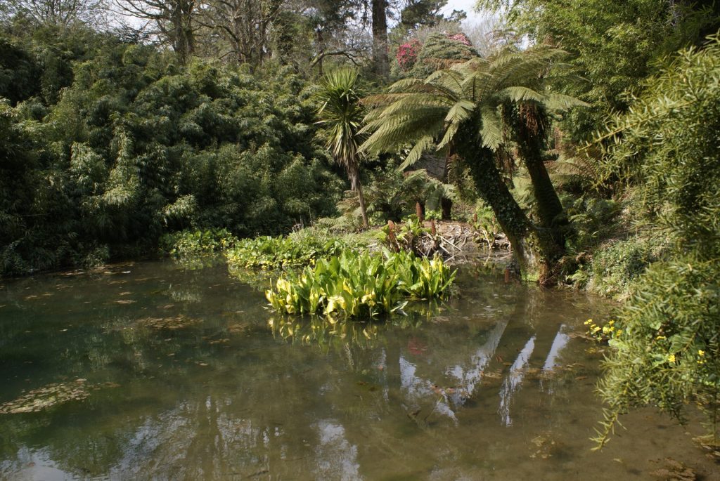 The Lost Garden of Heligan