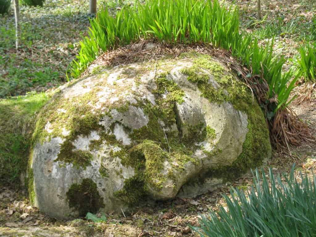 Auf dem Boden liegt ein großer, moosbewachsener Felsen in Form eines menschlichen Gesichts, aus dessen Spitze grüne Pflanzen wachsen, die wie Haare aussehen.
