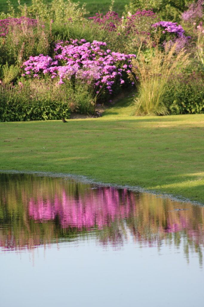 Tuin in Demen (2)