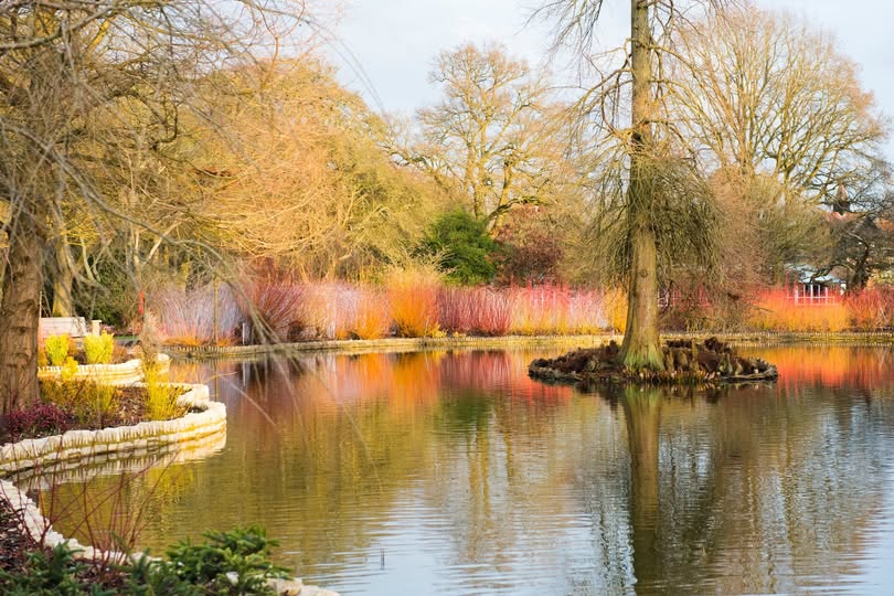 wisley